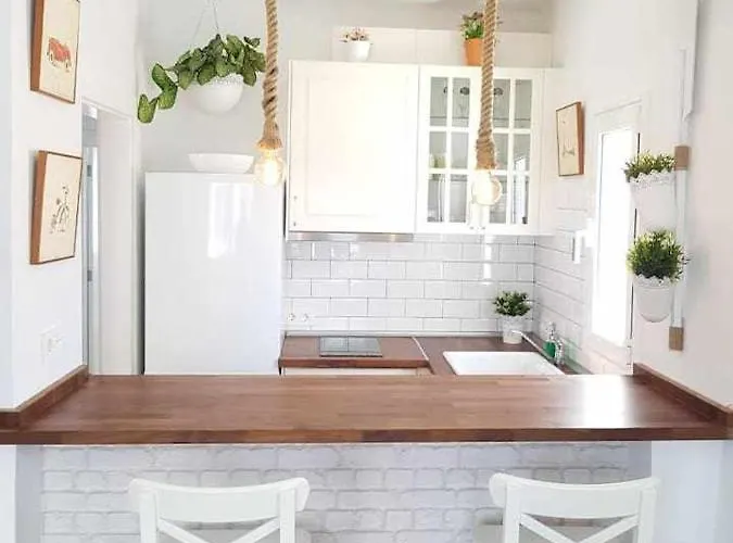 ** Saline Ocean ** プエルト・デル・カルメン